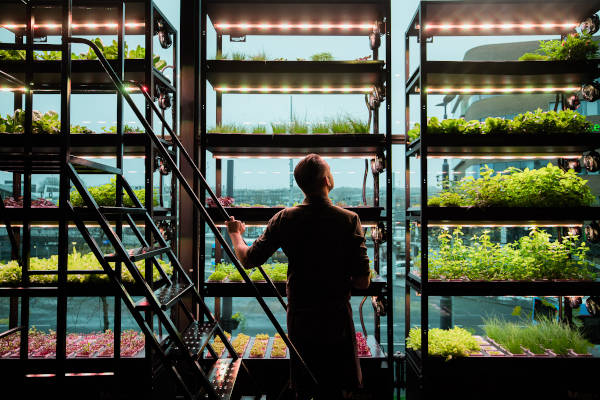 De Vertical Farm