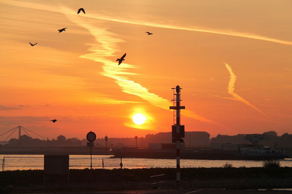 Qula City Trail Tiel: Gelderland bij zonsopgang