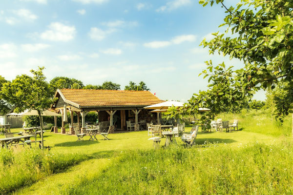 Genieten op het terras