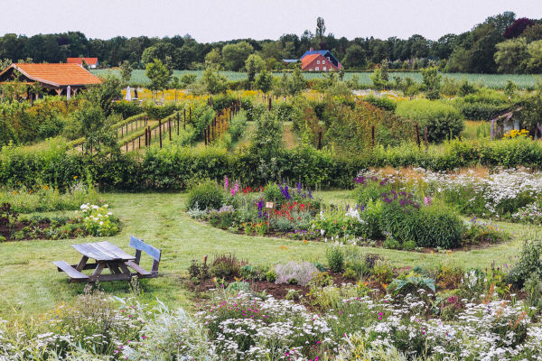 In de prachtige tuin