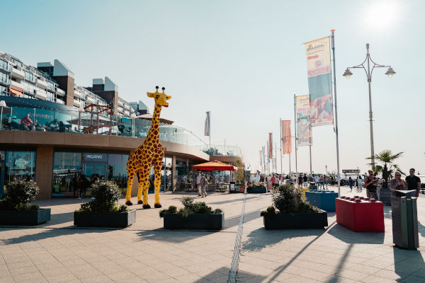Sir Winston Fun & Games Scheveningen: Grote giraf