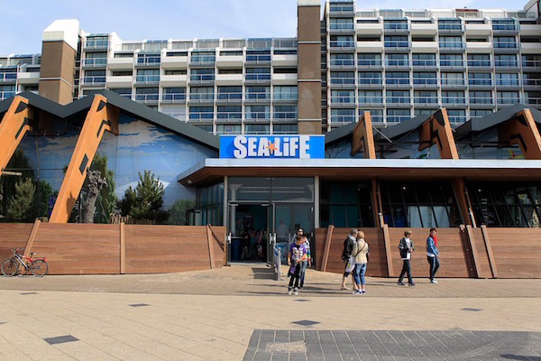 Entree Sea Life Scheveningen pal aan het strand van Scheveningen