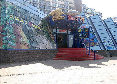 Entree Sea Life Scheveningen