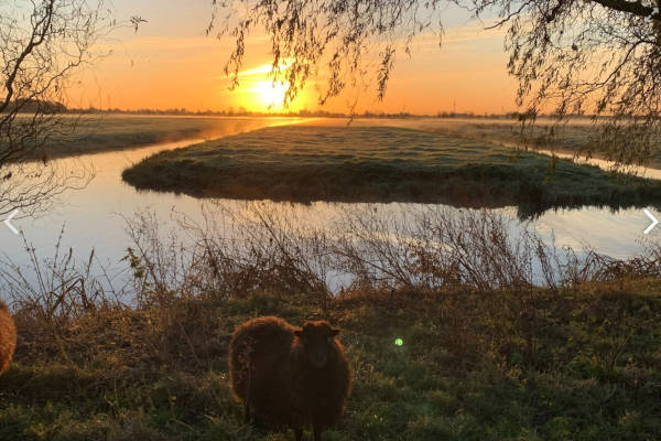 Midden in de natuur