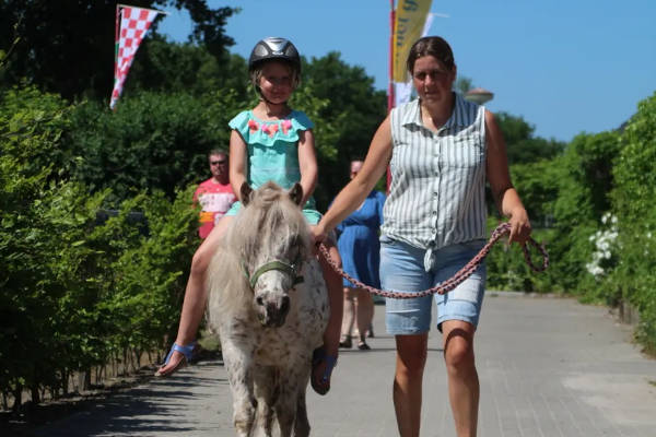 Meisje op paard