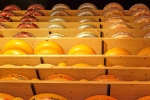 Afbeelding van Cheese Factory Volendam
