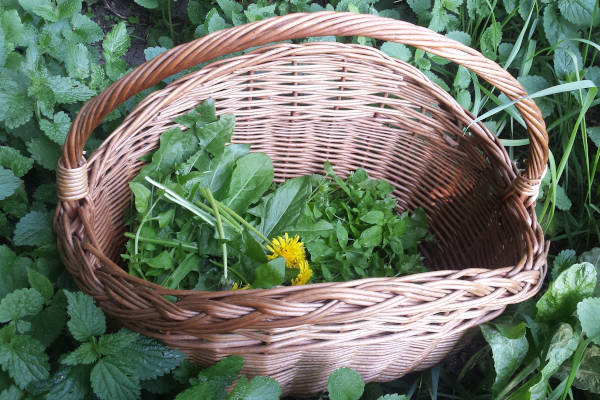 Eten in de natuur