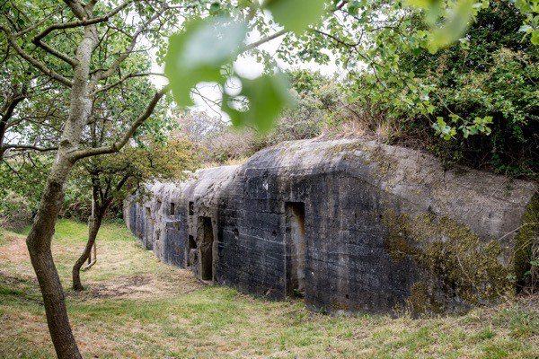 Bunker in het bos