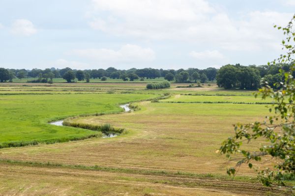 Overzicht van de omgeving