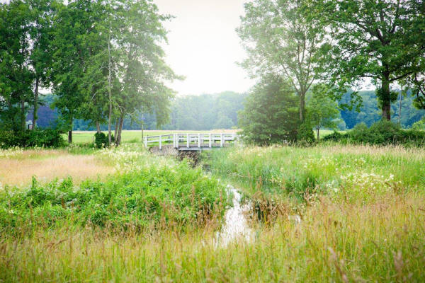 Natuur bruggetje