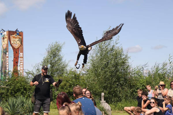 Roofvogeldemonstratie