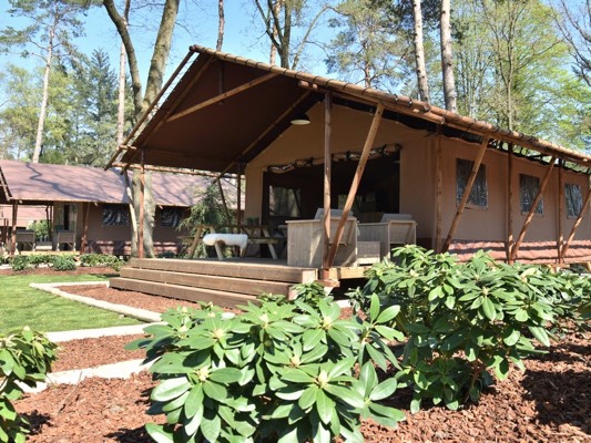 Glamping in het bos