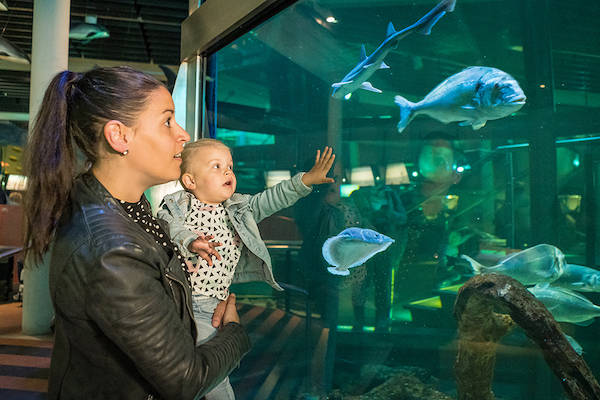 Noordzee Aquarium