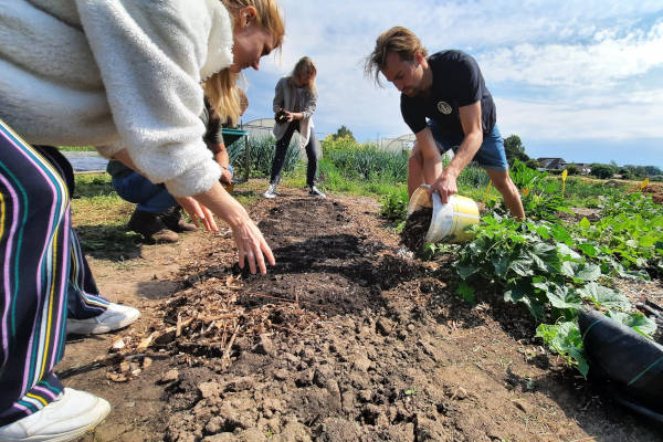 Aan de slag in de moestuin