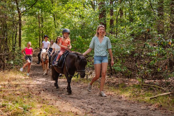 Maak een leuke rit door het bos op een paard