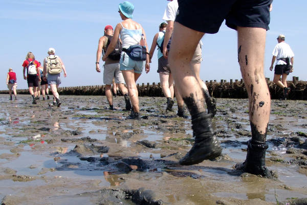 Wadlopen door het natte zand