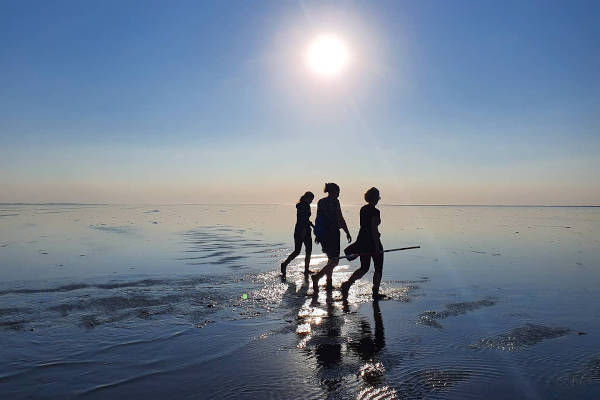 Wadlopen Pieterburen: Wadlopen met zonsondergang