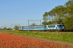 Afbeelding van Dinner Train Haarlem