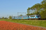 Afbeelding van Dinner Train Nijmegen