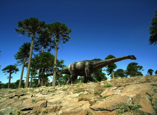 Brachiosaurus in Dinosaurs, giants of Patagonia