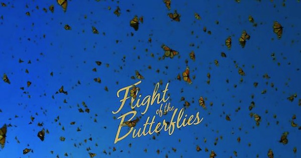 Flight of the Butterflies bij het Omniversum