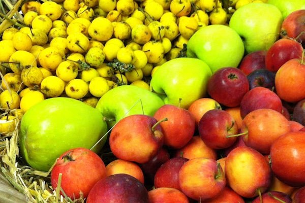 Verschillende sorten fruit