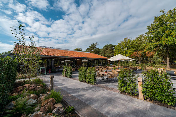 Europarcs Ruinen: Geniet van een lekker hapje of drankje op het terras