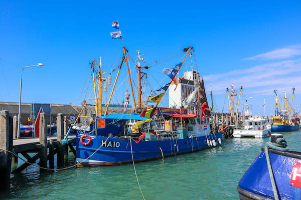 Bewonder de boten in de haven