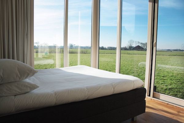 Hotel WeidumerHout: Uitzicht op het weiland op een blauwe dag