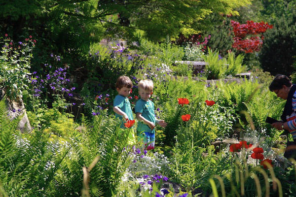 Samen wandelen door de Botanische Tuinen van Haren-Groningen