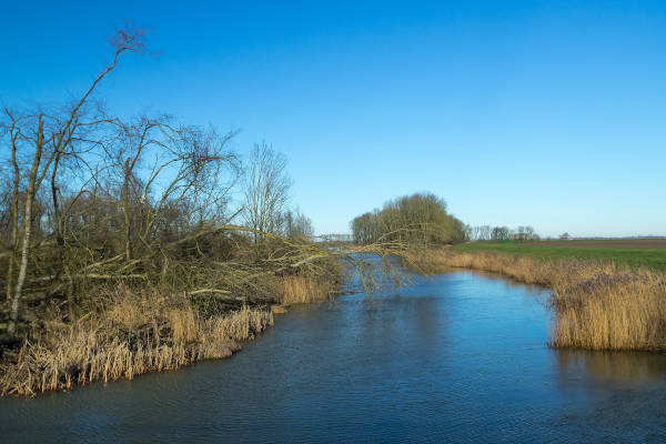 Varen door de Biesbosch