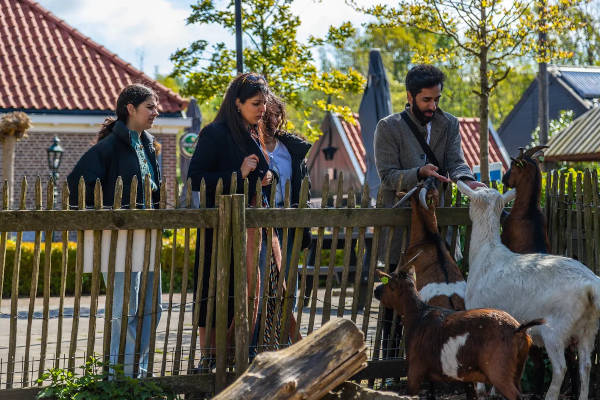 Kijken met het gezin bij de dierenweide