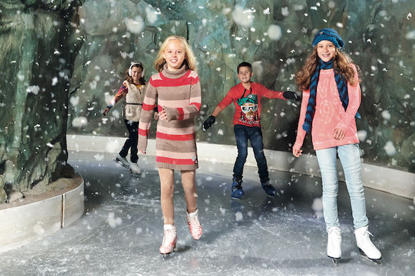 Schaatsen in de sneeuw