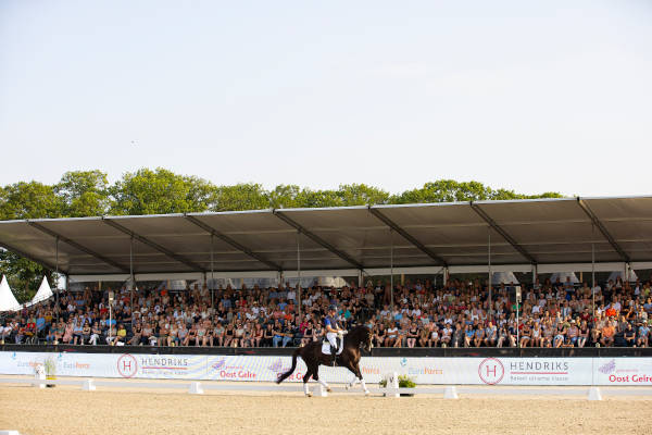 Rijden op het paard