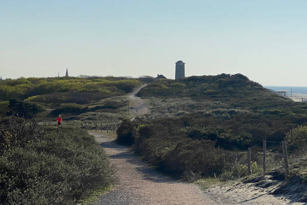 Pad door de duinen