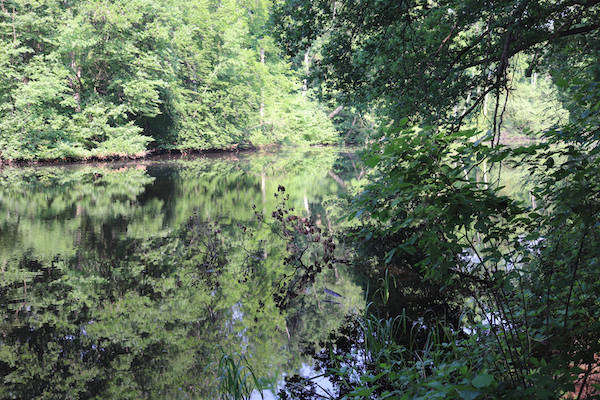 Rondwandeling op de Ommerschans in Ommerschans