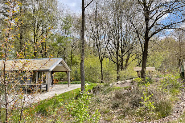 Vakantiepark Drentse Vennen: Heerlijk genieten in de natuur