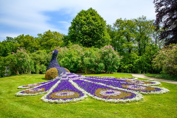 Bewonder alle mooie planten in Kasteeltuinen Arcen