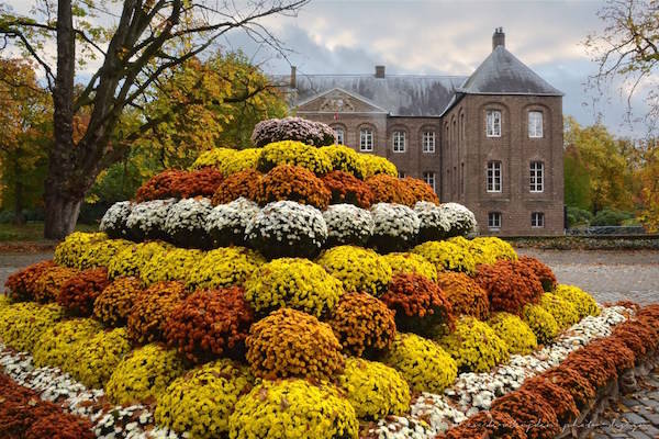 Chrysantenpiramide