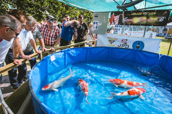 Holland koi show