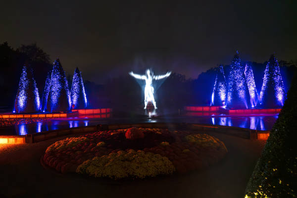 Enchanted Gardens