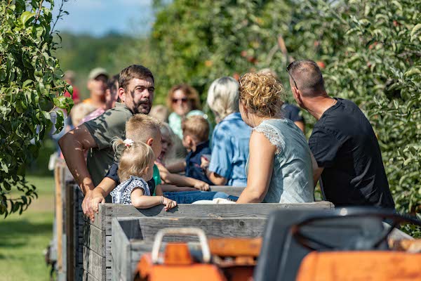 Top 10 uitjes in Kraggenburg en omgeving