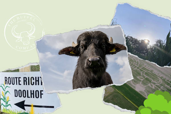 Dagje uit Maisdoolhof Zeewolde 