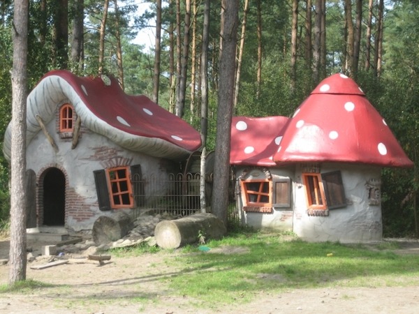 Het grote kabouterbos paddenstoelhuisjes