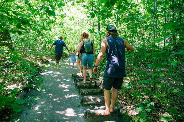 Mensen lopen over de stammen