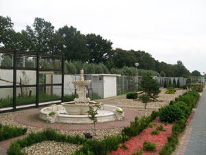 Vogelpark De Lorkeershoeve: Uitzicht park