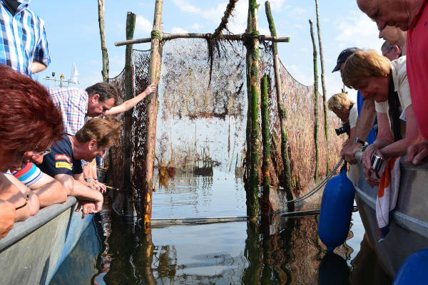 Excursies naar de weervisserij: Wachten op de vangst