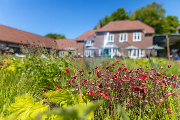 Singer Laren: Bloemen in de tuin