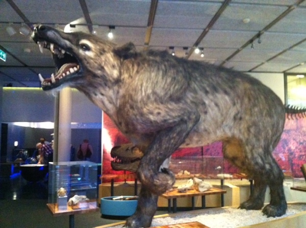 Andrewsarchus