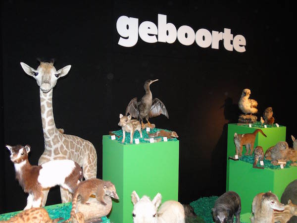 Intro Museon Babydieren